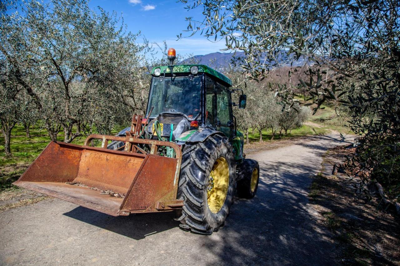 Locanda Agricola Posapiano Montecarlo Ngoại thất bức ảnh