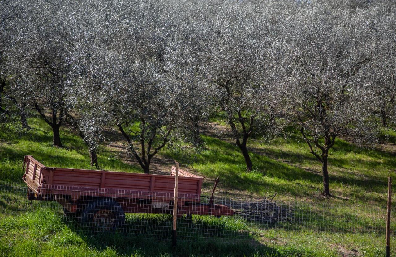 Locanda Agricola Posapiano Montecarlo Ngoại thất bức ảnh